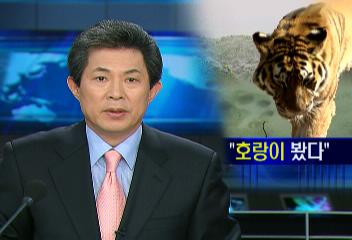 강원도 홍천군 화촌면 산골 도로에서 호랑이 발견목격자 인터뷰이재규