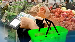 세월호 여파 민간 소비 회복세 둔화고용세수 등에 확산 우려