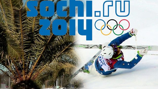 야자수 자라는 더운 소치이변과 사고 속출