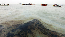 하늘에서 본 수색 현장"기름띠 8km까지 뻗었다"