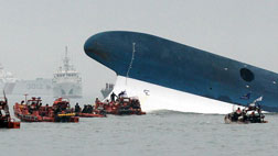 내년부터 신참 운행 합법"위험도에 따른 자격 세분화 필요"