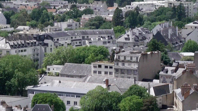 검찰 청해진해운 오너 재산 찾기 주력해외 곳곳 부동산 갖고 있는 듯