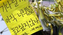 "제발 돌아오길"전 국민 애도 노란리본 물결