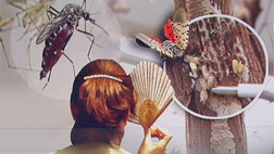 이른 더위 병해충 한달 일찍 등장건강관리 주의