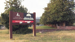 유병언 일가 해외재산 100억대청해진해운 탈세 집중조사