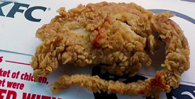 닭 튀김 달랬더니 쥐 튀김 KFC 발칵