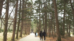 설 연휴 가족과 나들이 간다면걷기 좋은 숲길 10곳