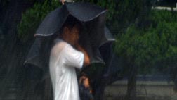 올여름 태풍 심상치 않다벌써 예년보다 3배 많은 7개 발생