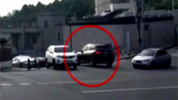 카드뉴스 걸핏하면 교통법규 위반외교차량 최다 위반 국가는