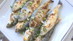 찬바람 부는 가을 제철 맞은 전어 어획량 증가