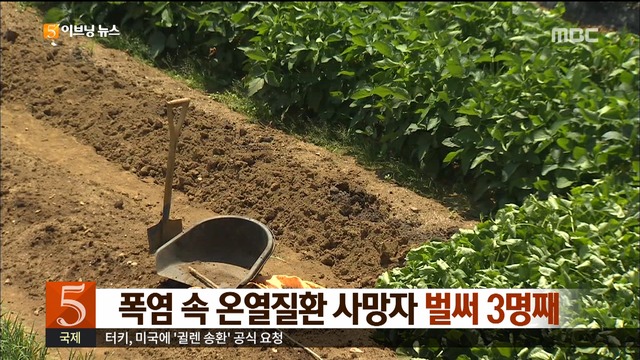 폭염 속 온열질환 사망자 벌써 3명째"작년보다 빨라"