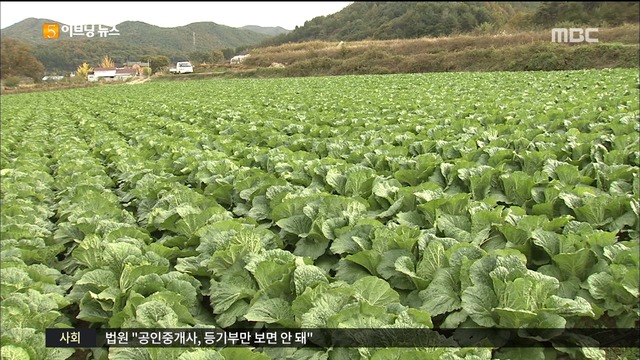 폭염 여파로 치솟는 채솟값 추석까지 강세