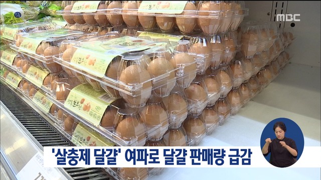 정오뉴스 : MBC NEWS