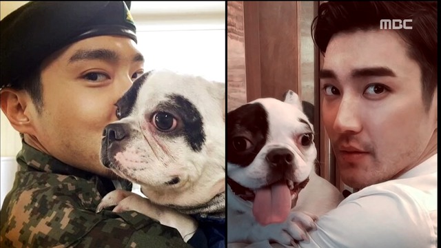 엘리베이터에서 훅최시원 반려견에 물린 50대 사망