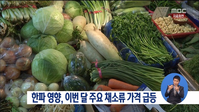 북극 한파에 채솟값 급등미세먼지까지 악재