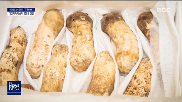 이산가족에 북녘향 머금은 송이버섯 전달하기로