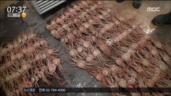이미지 설명
