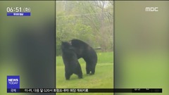 이미지 설명