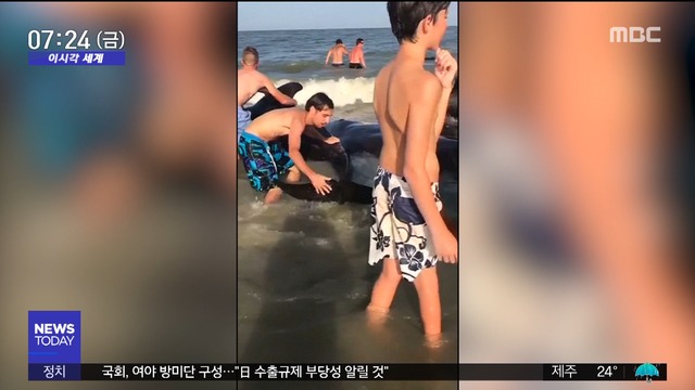 ì˜¤ëŠ˜ ë‹¤ì‹œë³´ê¸° íƒˆë ˆë°˜ í•œêµ­ì¸ ë‚©ì¹˜ 2007