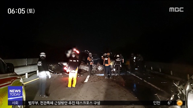 밤사이 교통사고 잇따라멧돼지 도심 로드킬