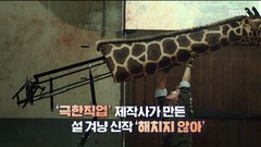 이미지 설명