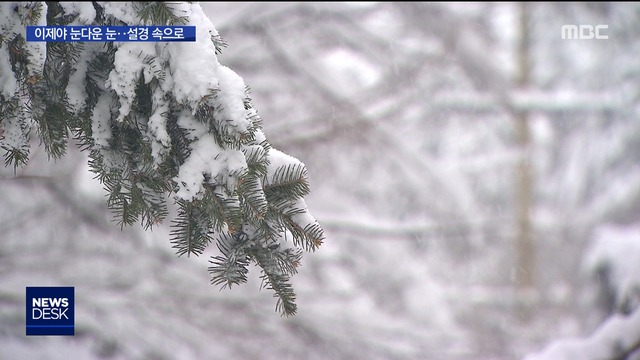 2월 다 돼서야 눈다운 눈"그래도 설경은 멋져"