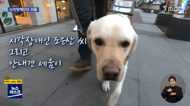 집중취재M 위험한 모험시각장애인의 외출