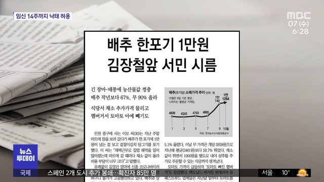 뉴스 열어보기 배추 한포기 1만원 김장철앞 서민 시름