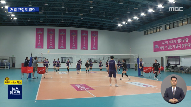 전수조사 한다지만학폭 처벌 규정도 없어