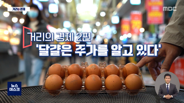 거리의경제주식언제까지오를까달걀에답이있다