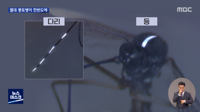 집중취재M 코로나19는 시작기후변화로 더 센 감염병 온다