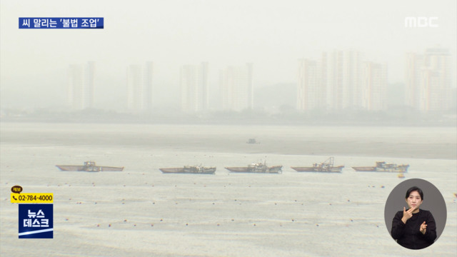 바로간다 뱀장어 씨 말리는 무허가 어선들"불법 조업 천국"