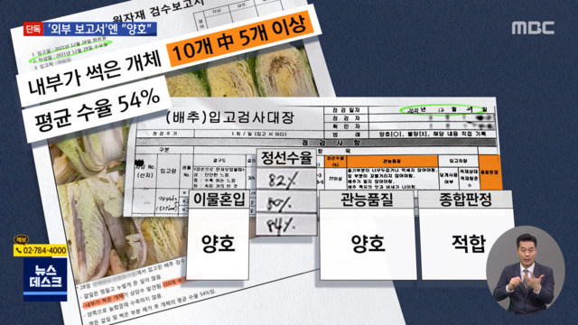 단독 "배추 50 썩었다"외부에는 "적합" 해썹도 통과했다 