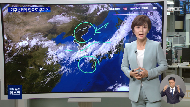 장마의 얼굴이 달라졌다 8월에도 우기처럼 폭우