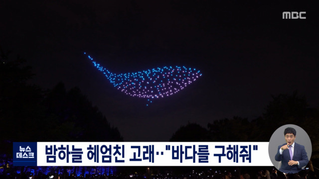 밤하늘에 뜬 우영우 고래"바다를 구해줘" 