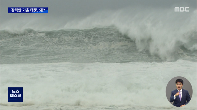 루사매미같은 가을태풍 뛰어넘는 힌남노