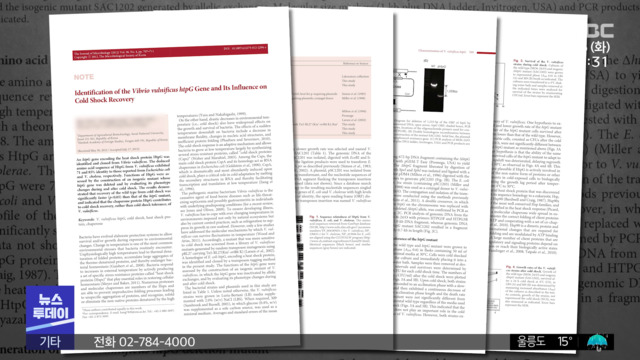 부모 찬스 논문 96건입학 취소 5명뿐