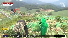 이미지 설명