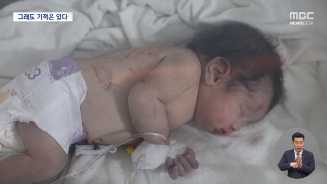 잔해에서 태어난 새 생명기적의 순간들 