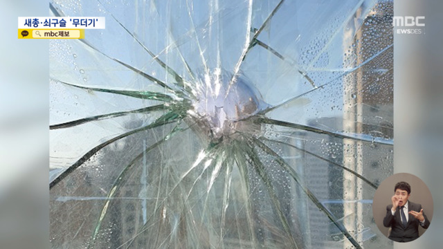 쇠구슬로 29층 아파트 유리창 쾅범인은 옆 동 주민