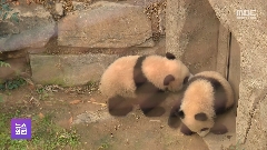 이미지 설명