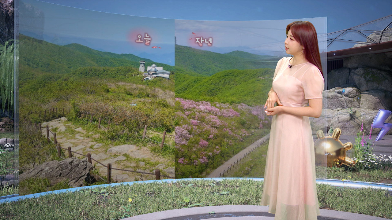 날씨 철쭉 없는 철쭉제 내일 내륙 덥고 동해안 선선