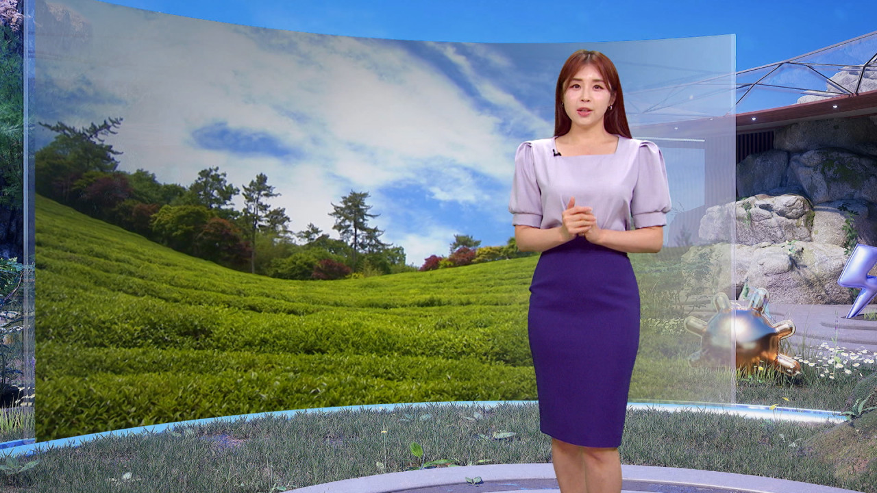 날씨 보성 차밭의 여름 향기내일도 낮엔 초여름