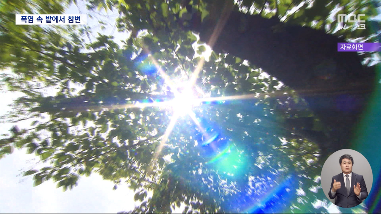 어제 하루 열사병으로 3명 숨져올여름에만 지금까지 11명 사망