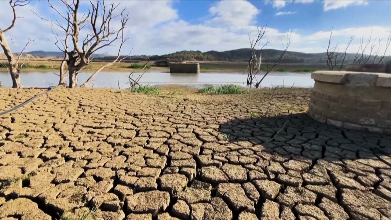 대규모 식량 위기에 국경 무너질 것 한국의 대응은