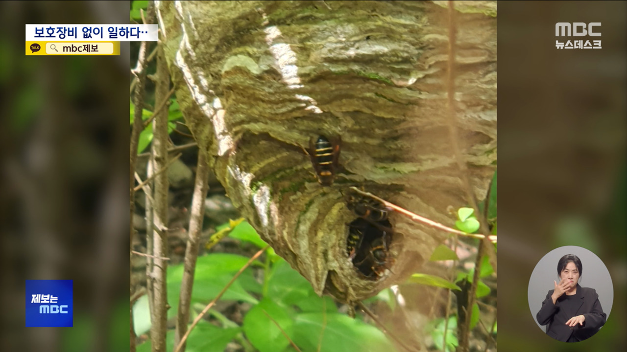 제보는 MBC 보호장비 없이 공공 근로하다 혼수상태"부당한 업무 지시"