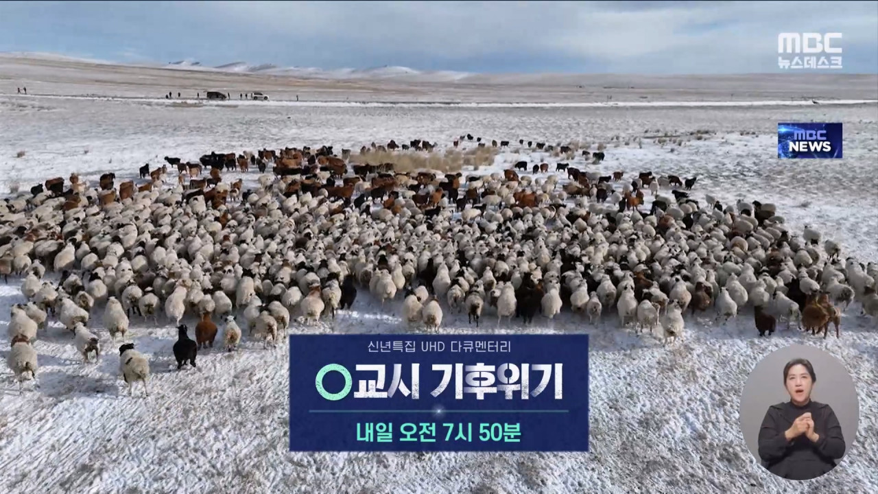 신년특집 UHD 다큐멘터리 0교시 기후위기 예고
