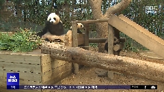 이미지 설명
