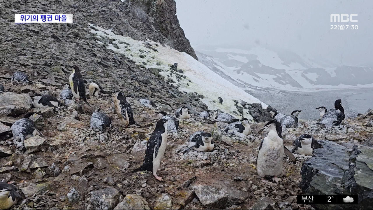 기후환경 리포트 사라지는 마을 주민들 남극특별보호구역 171