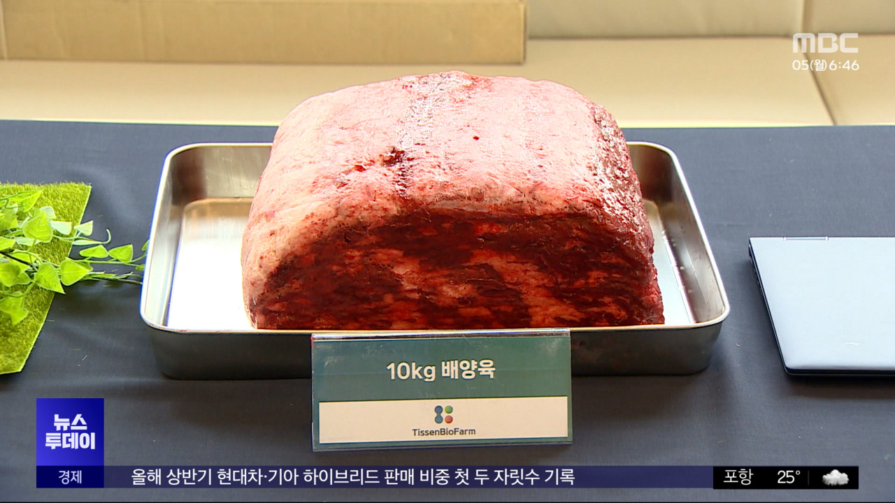"도축 없이 고기 먹는다"포항시 대체육 시장 공략